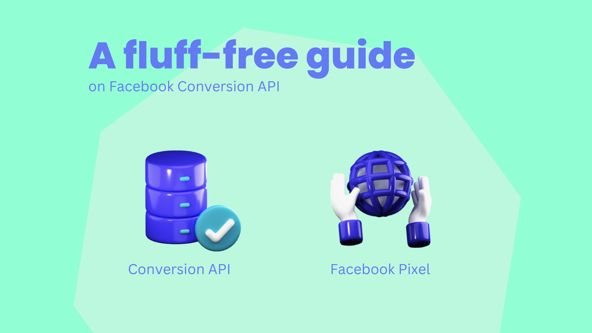 Facebook Conversion API 101: Free explanation and action guide [2024] 