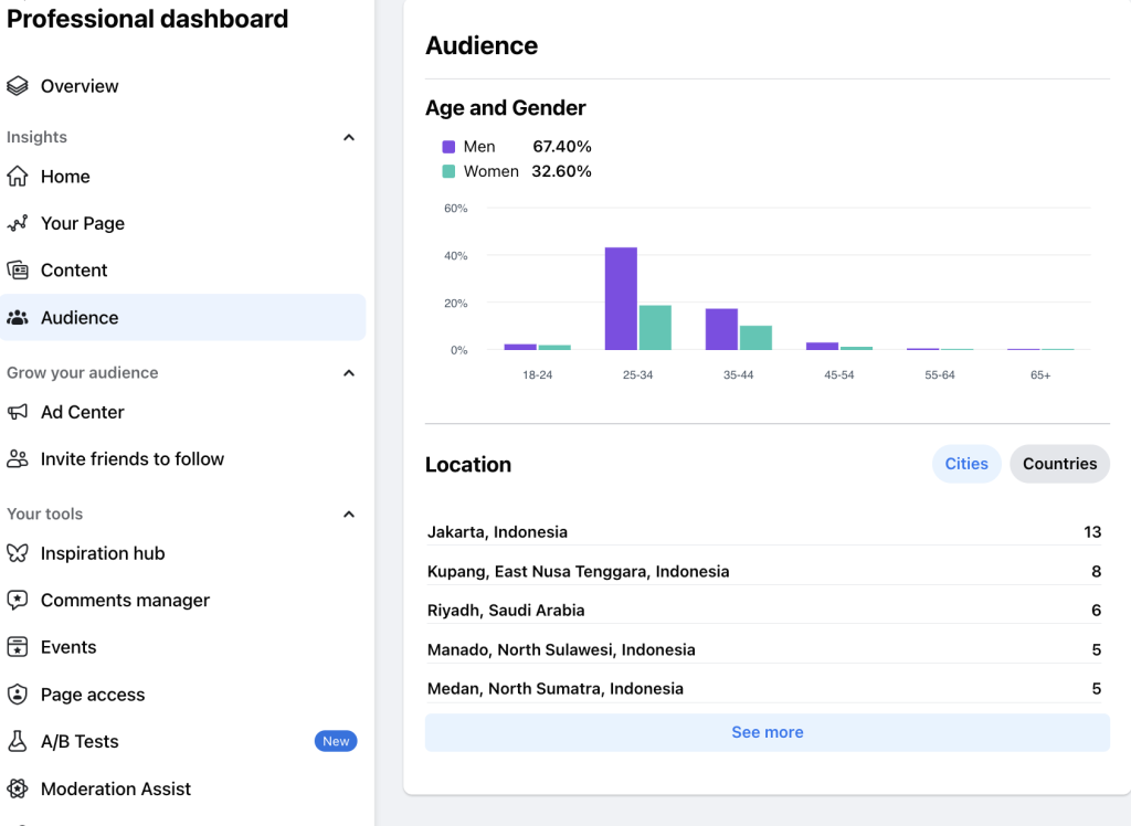 #5 Monitor Audience Insights