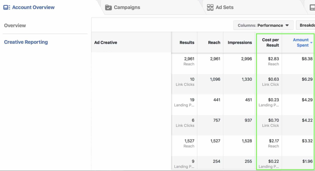 Campaign Performance Evaluation