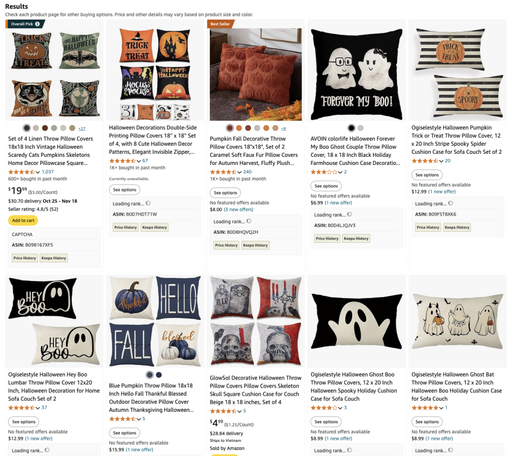 Halloween Pillow Covers