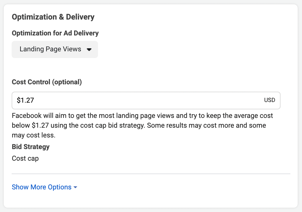 Experiment with Bidding Strategies