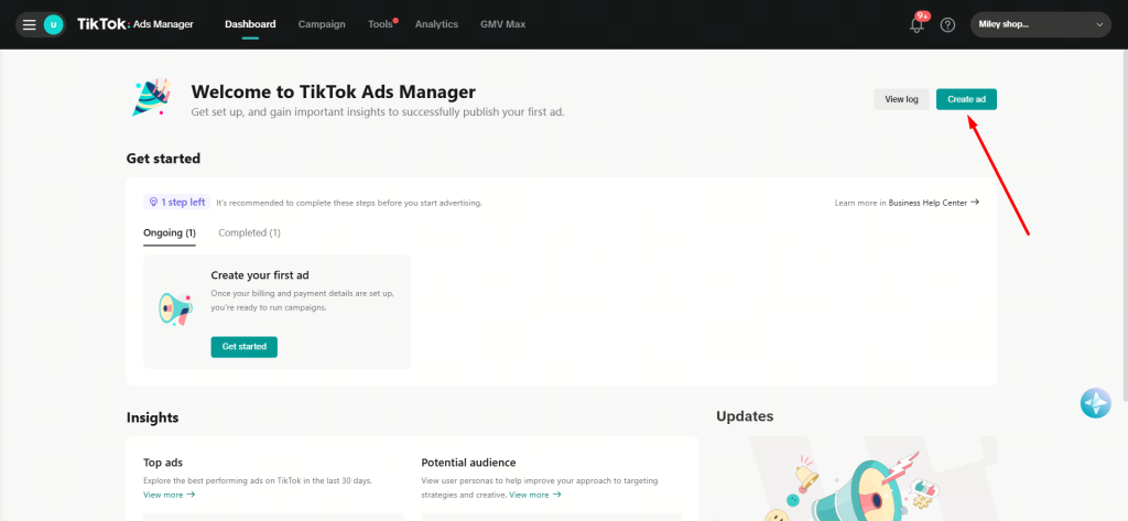 Create Ads from TikTok Ads Manager (Manual Setup)